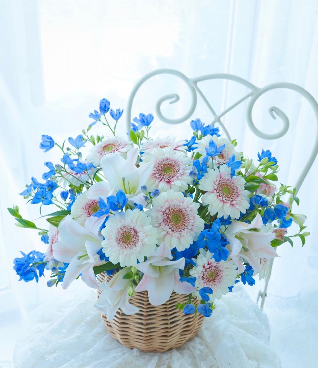 生産地応援 いろんな産地さんのお花アソートセット 花市場セレクト 送料無料 5月2日 3日お届け限定 通販 はなどんやアソシエ 生産地応援 いろんな産地さんのお花アソートセット 花市場セレクト 送料無料 5月2日 3日お届け限定 通販 はなどんやアソシエ