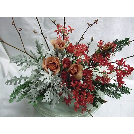 今週のオトク 生花 クリスマスブッシュ 30 40cm程度 通販 はなどんやアソシエ