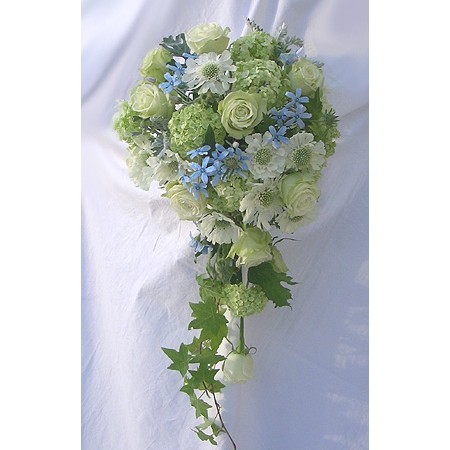 生花 ブルースターピュアブルー 2l 丸弁 今週のオトク 通販 はなどんやアソシエ