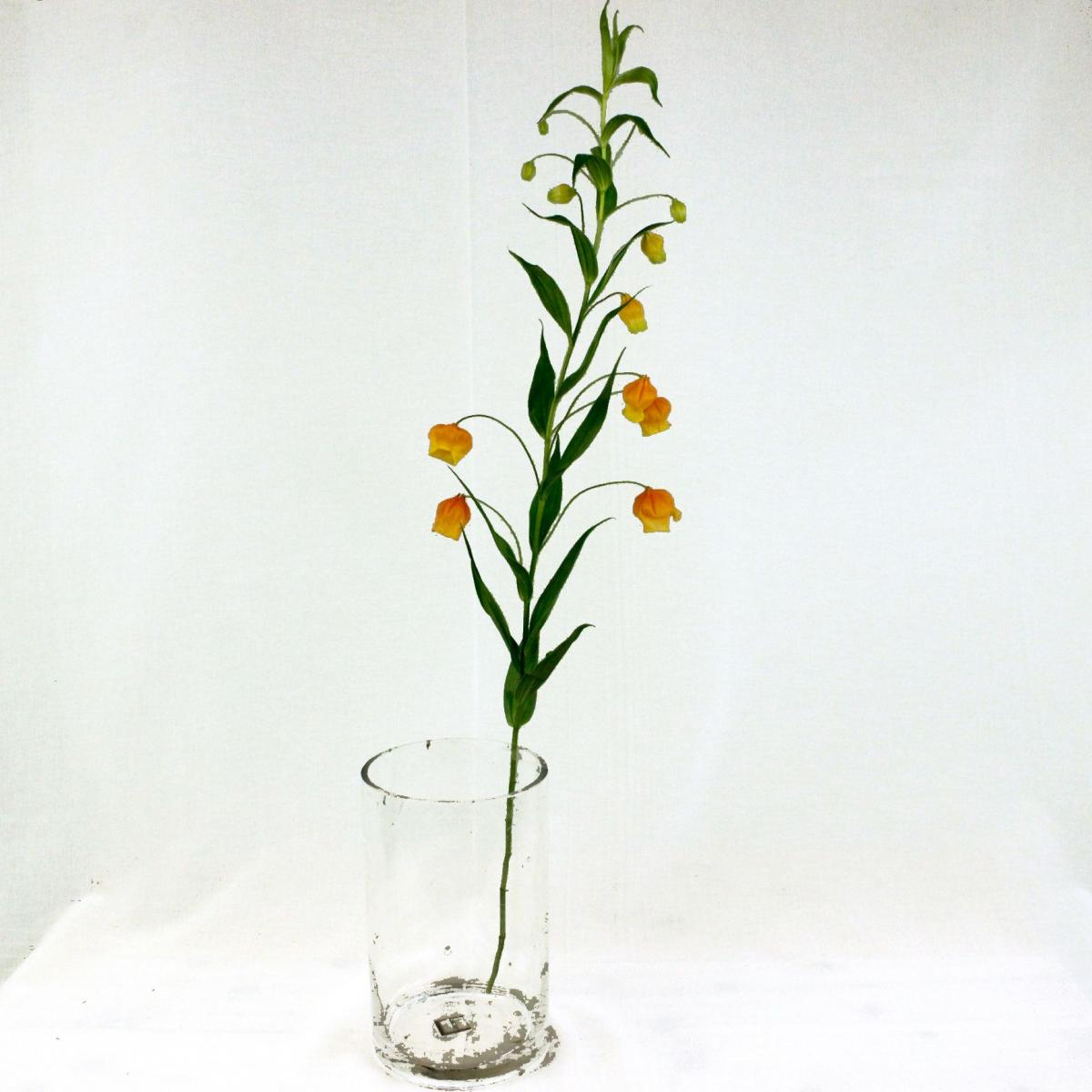 生花 サンダーソニア 40cm 通販 はなどんやアソシエ 生花 サンダーソニア 40cm 通販 はなどんやアソシエ