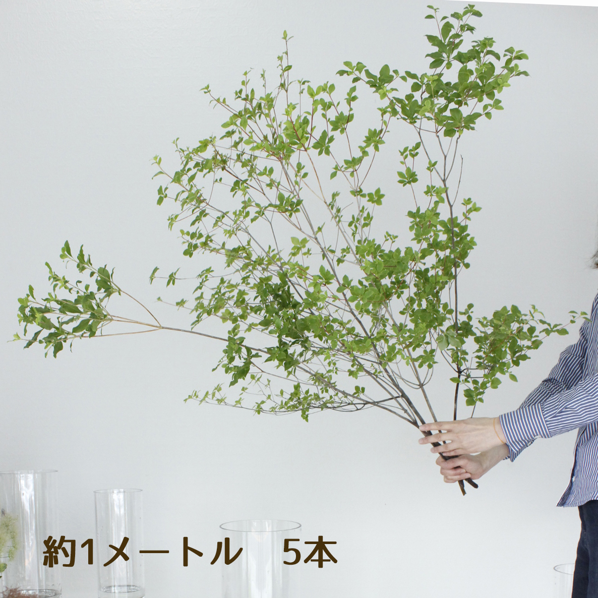 生花 ドウダンツツジ 枝物 1m程度 通販 はなどんやアソシエ 生花 ドウダンツツジ 枝物 1m程度 通販 はなどんやアソシエ