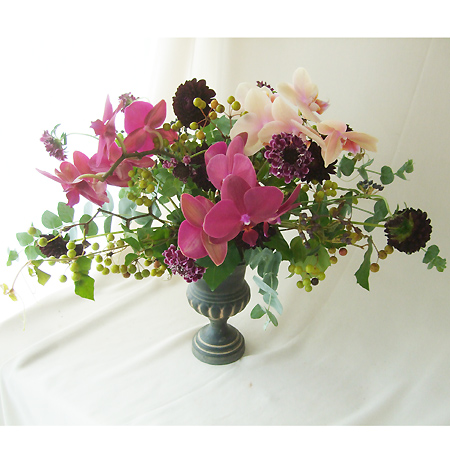 生花 丸葉ユーカリ 60 70cm程度 1本立ち 新芽時期 先端お手入れ要 通販 はなどんやアソシエ 生花 丸葉ユーカリ 60 70cm程度 1本立ち 新芽時期 先端お手入れ要 通販 はなどんやアソシエ