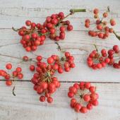 【生花/即納】国産サンキライ（赤実のみ）50グラム程度【JM】