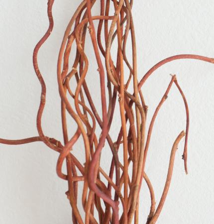 【生花/即納】【S3-24】赤づる　★S〜Mサイズ(束約20本)