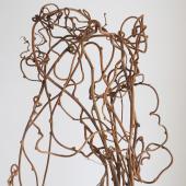 mskキウイつる msk様専用 キウイつる