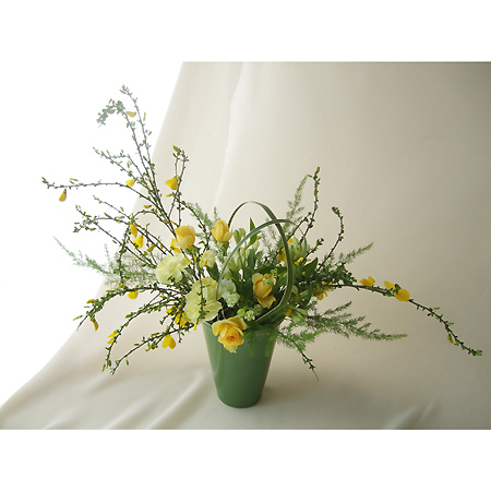 エニシダ 花束 エニシダ 花束 Sepulopixsae エニシダ 花束 エニシダ 花束 Sepulopixsae