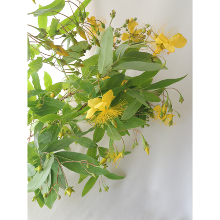 Apictnyoh0xuv 50 美女柳1180 Apictnyoh0xuv 50 美女柳1180