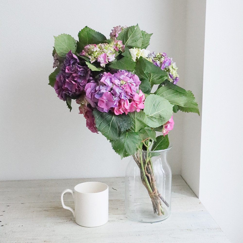 生花 枝アジサイ ピンク系 枝物 60cm 商品説明お読み下さい 通販 はなどんやアソシエ 生花 枝アジサイ ピンク系 枝物 60cm 商品説明お読み下さい 通販 はなどんやアソシエ