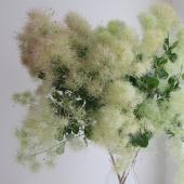 ※販売期間外※【生花】＜80ｃｍ＞スモークツリー ホワイトファーなど（白～緑系）津軽みらい農協【OT】