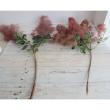 【08直前】【生花】<50cm程度>スモークツリー レッド丸福清花園　【OT】