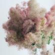 【08直前】【生花】<50cm程度>スモークツリー レッド丸福清花園　【OT】