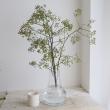 【生花】野バラ　80cm程度(枝もの)【OT】※実色時期により異なる