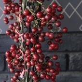 【ご予約No.3】［りんりん］サンキライ赤 08直前!】輸入サンキライ(赤実) 1束20〜25本入り【TK】 - 花材通販は