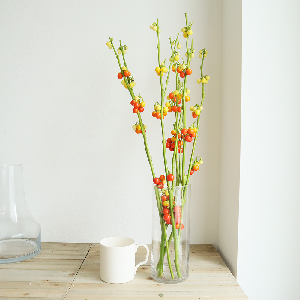 直前 花ナス 品種おまかせ 生花 通販 はなどんやアソシエ 直前 花ナス 品種おまかせ 生花 通販 はなどんやアソシエ