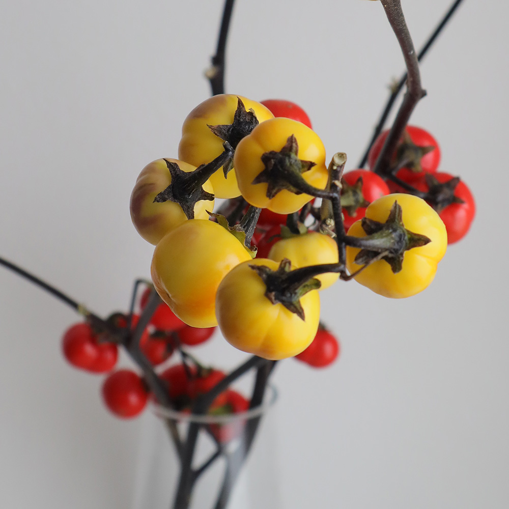 生花 花ナス 70センチ程度 Ita 29 千葉県ほか 品種おまかせ 通販 はなどんやアソシエ 生花 花ナス 70センチ程度 Ita 29 千葉県ほか 品種おまかせ 通販 はなどんやアソシエ