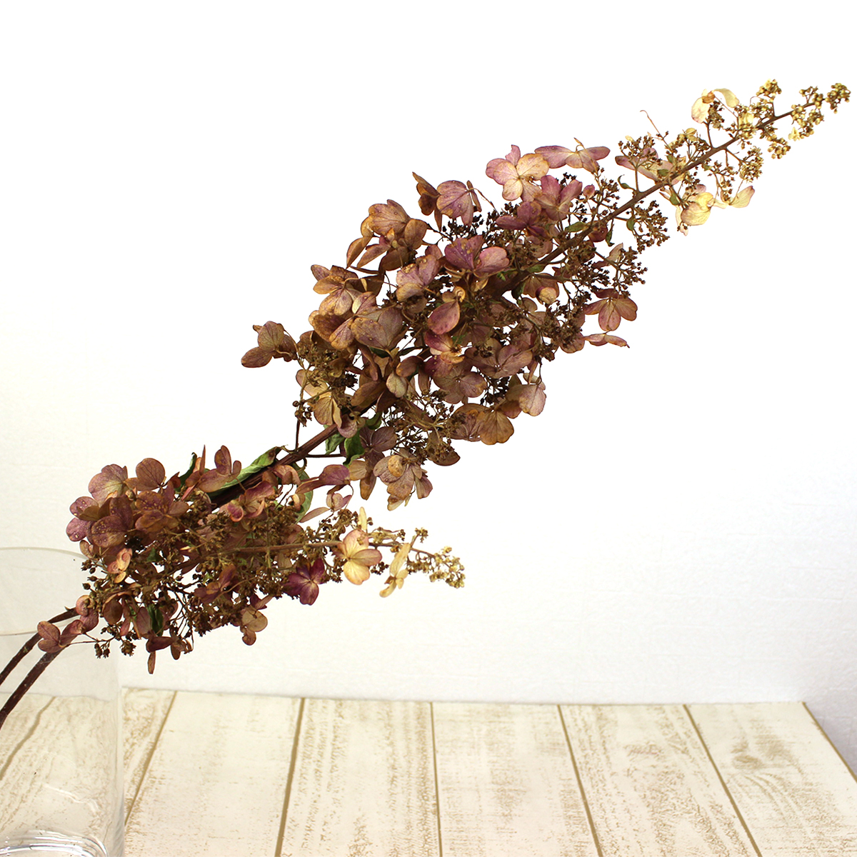 ドライ J Flow アジサイ 秋色ミナヅキ ピンク 2lサイズ 商品説明をお読み下さい Xx 通販 はなどんやアソシエ