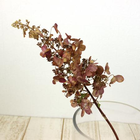 【ドライ】J・flow/アジサイ　秋色ミナヅキ(ピンク)Lサイズ　※商品説明をお読み下さい。【XX】