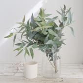 ※販売期間外※【直前】国産　剣葉ユーカリ　45ｃｍ程度（束約5本）