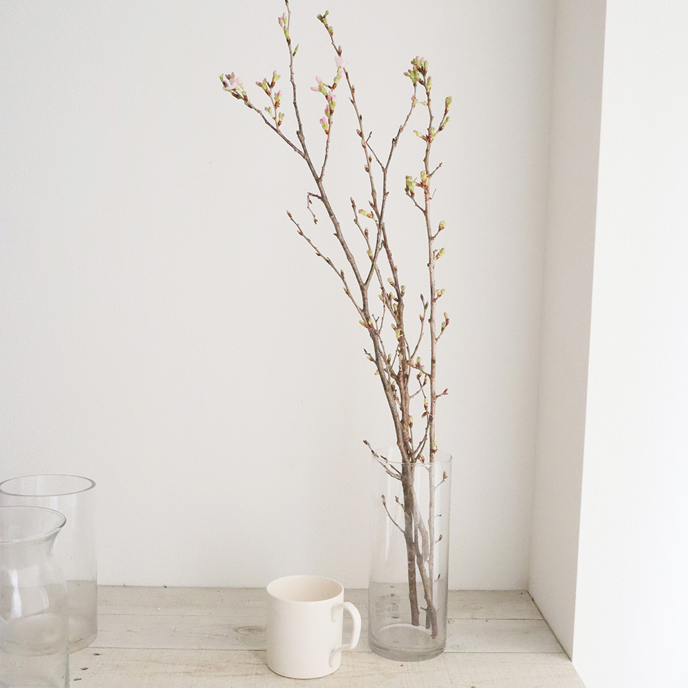 直前 山形 寒河江の啓翁桜 しおり束 3本束 70センチ程度 生花 通販 はなどんやアソシエ 直前 山形 寒河江の啓翁桜 しおり束 3本束 70センチ程度 生花 通販 はなどんやアソシエ