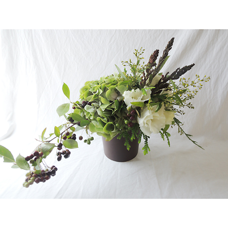 直前0806 生花 星野さんのアロニア チョコベリー80cm 実色時期により異なる 通販 はなどんやアソシエ 直前0806 生花 星野さんのアロニア チョコベリー80cm 実色時期により異なる 通販 はなどんやアソシエ