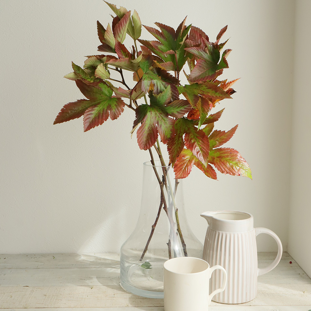 直前 紅葉木苺 60cm程度 お受け取り 火 木 土 に 商品説明お読み下さい 生花 通販 はなどんやアソシエ 直前 紅葉木苺 60cm程度 お受け取り 火 木 土 に 商品説明お読み下さい 生花 通販 はなどんやアソシエ