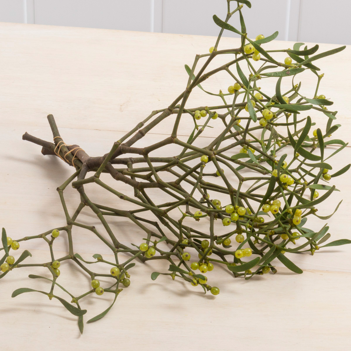 直前 ヤドリギ 実つき つまみ 3l 約5本 必ず商品説明をお読み下さい 通販 はなどんやアソシエ 直前 ヤドリギ 実つき つまみ 3l 約5本 必ず商品説明をお読み下さい 通販 はなどんやアソシエ