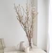 【生花】開花調整してお届け!すぐ咲く桜の枝(1束約5本入り)　※届日限定:予約10日前まで