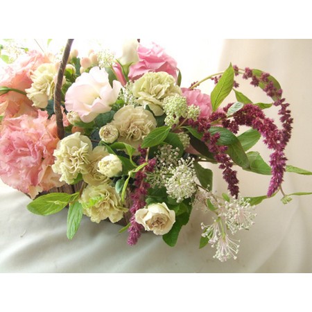 生花 カリフォルニアライラック マリーサイモン ピンク花つき 40 50cm程度 Jaみなみ信州 Ot 通販 はなどんやアソシエ 生花 カリフォルニアライラック マリーサイモン ピンク花つき 40 50cm程度 Jaみなみ信州 Ot 通販 はなどんやアソシエ