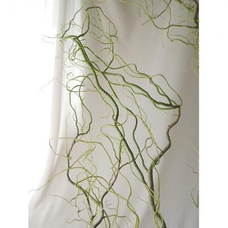 生花 雲竜柳 1m程度 新和会小松さん他 Ot 通販 はなどんやアソシエ 生花 雲竜柳 1m程度 新和会小松さん他 Ot 通販 はなどんやアソシエ