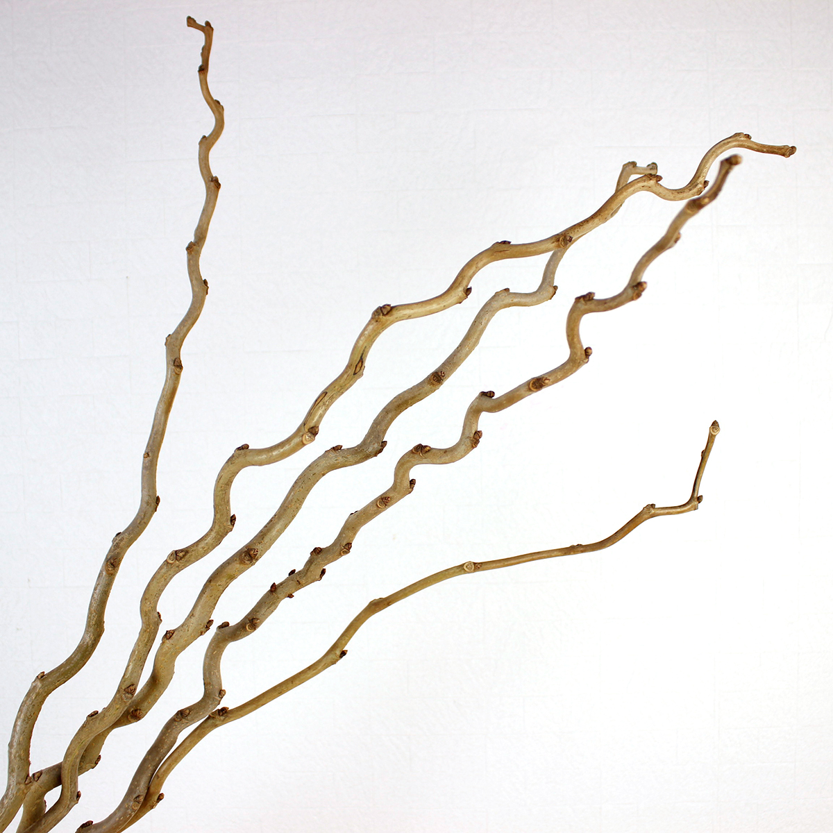 直前08】降天桑 つまみ(50〜80cm・束8〜10本) 日本草花園 【生花