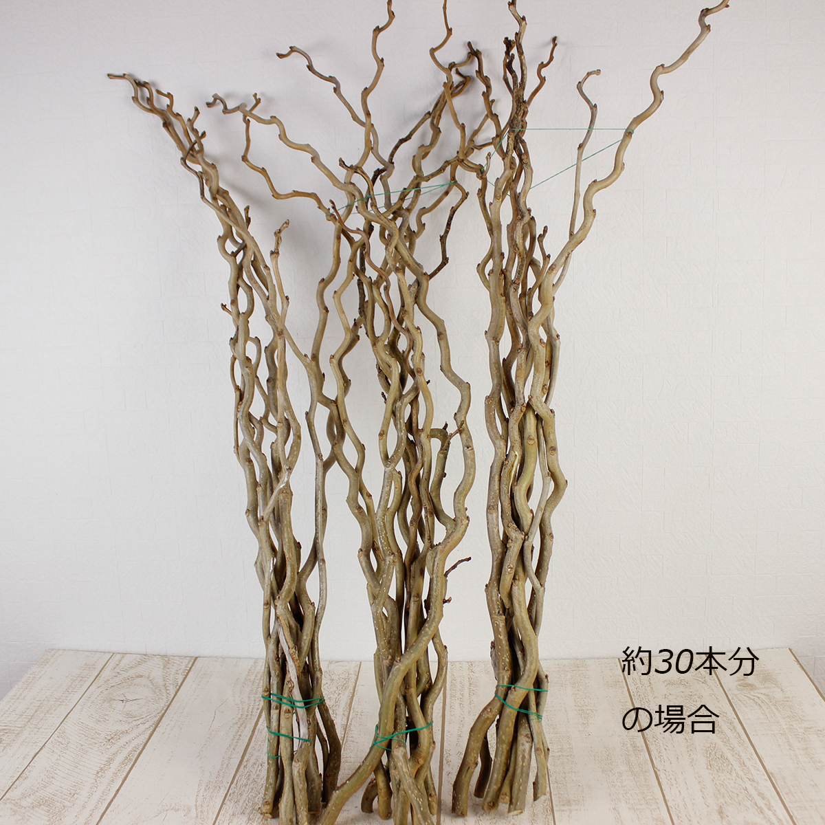 直前08】降天桑 つまみ(50〜80cm・束8〜10本) 日本草花園 【生花