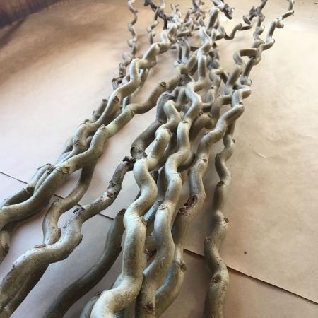 【生花/即納】降天桑　90cm程度(葉なし)　日本草花園【KPRS】