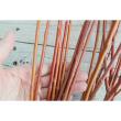 【生花/即納】国産レッドウィロー　100CM【OT】水郷つくば農協
