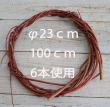 【生花/即納】国産レッドウィロー　100CM【OT】水郷つくば農協