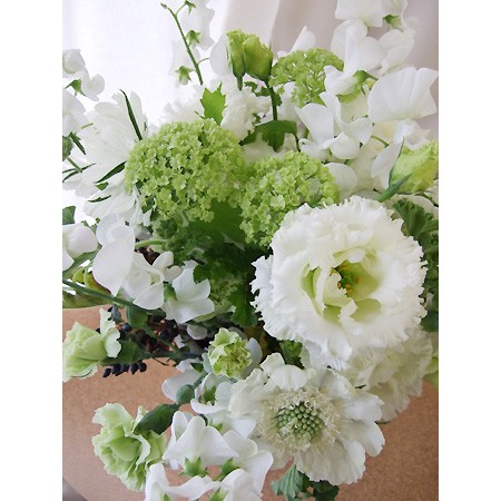 生花 国産ビバーナムスノーボール 国産ビバーナムフェア 通販 はなどんやアソシエ 生花 国産ビバーナムスノーボール 国産ビバーナムフェア 通販 はなどんやアソシエ