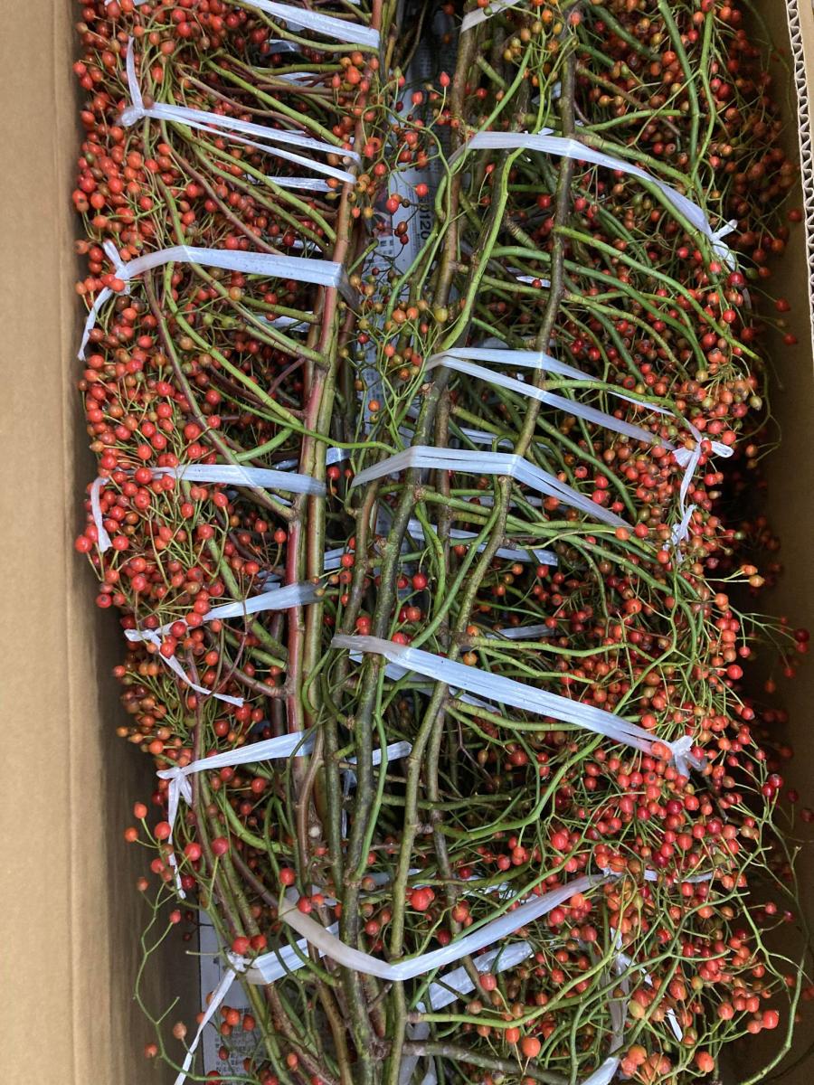 生花】野バラ(赤指定・実つき枝もの)100cm程度 - 花材通販はなどんや