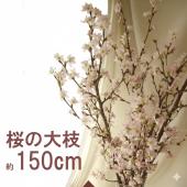 生花】桜の大枝 150cm程度 【宅急便発送不可。来店引き渡しのみ】 - 花
