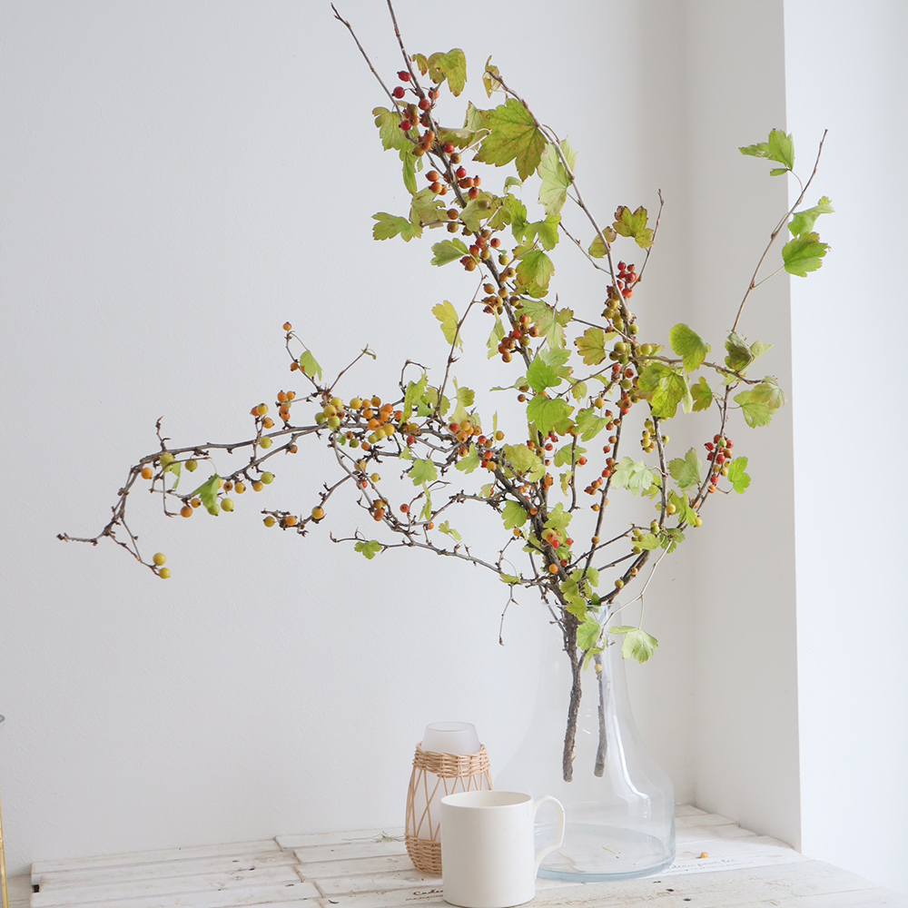 08直前!!】サンザシ(実つき)秀L 愛媛中央農協 - 花材通販はなどんや