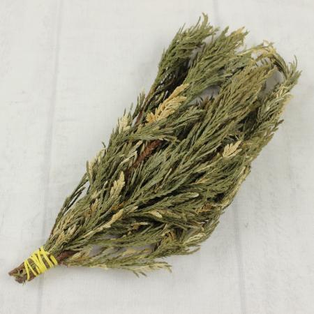 【ドライ】J・flow/コニファ マーブルクレスト・アンティーク(クリアケース入り)【L2-16】