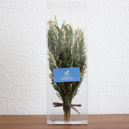 【生花/即納】J・flow/コニファ マーブルクレスト(クリアケース入り)【XX】