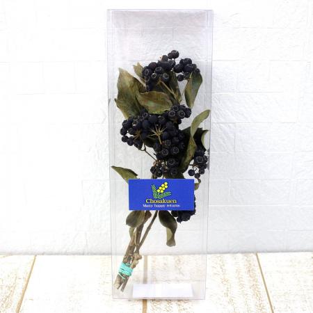 【ドライ】J・flow/長作園のヘデラベリー(クリアケース入り)