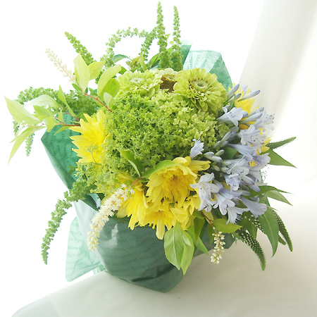 生花 ボリューム割引 アジサイ グリーンアナベル 通販 はなどんやアソシエ 生花 ボリューム割引 アジサイ グリーンアナベル 通販 はなどんやアソシエ