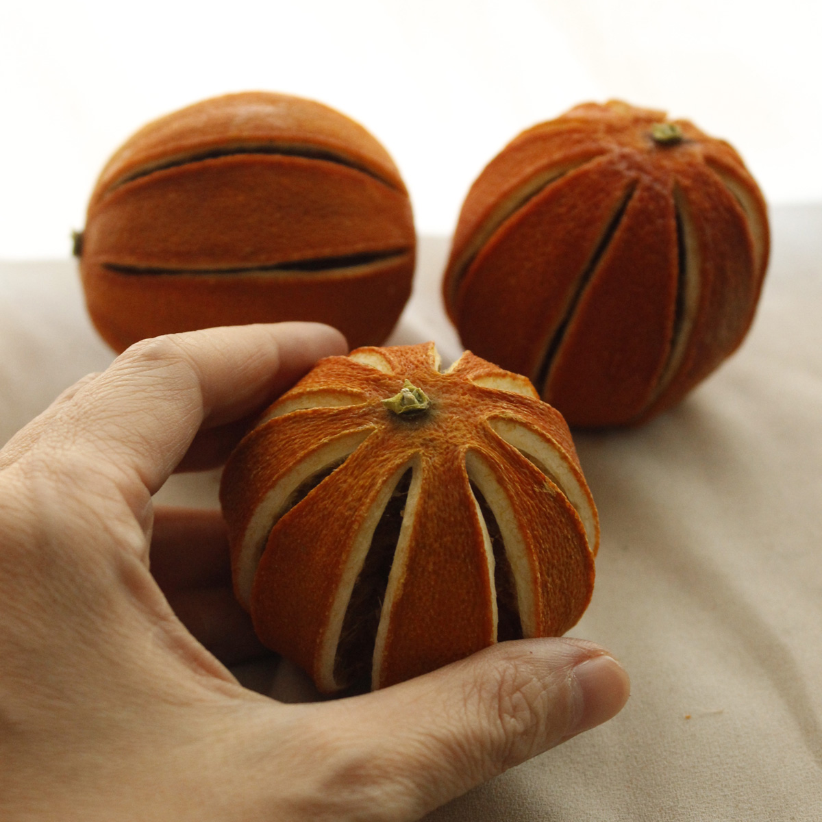 ドライ】J・flow/ドライ・オレンジホール(250g大袋)【HD-2】 - 花材