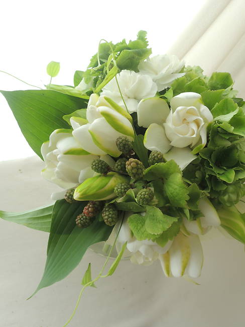 生花 青木園芸のガーデニア クチナシ 1輪つき cm 通販 はなどんやアソシエ 生花 青木園芸のガーデニア クチナシ 1輪つき cm 通販 はなどんやアソシエ