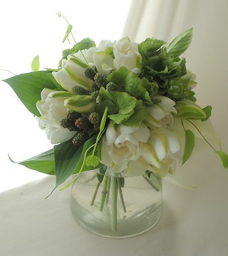 Spot 直前0605 大島のクチナシ ガーデニア cm程度 通販 はなどんやアソシエ