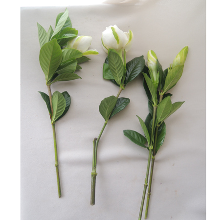 退屈させる ボーナス 安全な くちなし の 花 切り花 Office 1 Net