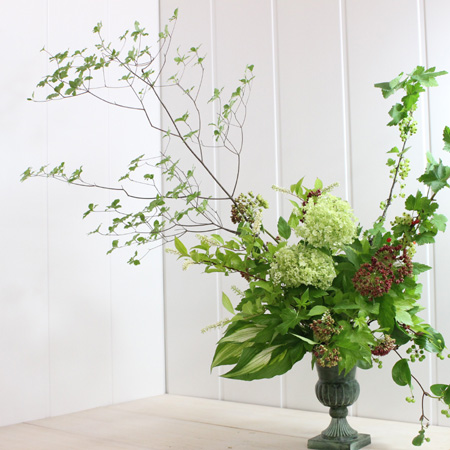 生花 ディアボログリーン ありだ農協 実つき枝 50cm Ot 通販 はなどんやアソシエ 生花 ディアボログリーン ありだ農協 実つき枝 50cm Ot 通販 はなどんやアソシエ