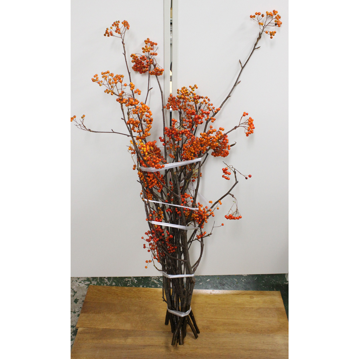 生花】紅葉ナナカマド(実のみ・葉なし) 100cm程度 - 花材通販はなどん