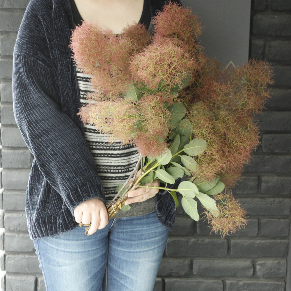 生花 星野さんのスモークツリー ルビーファー M60cm程度 通販 はなどんやアソシエ 生花 星野さんのスモークツリー ルビーファー M60cm程度 通販 はなどんやアソシエ