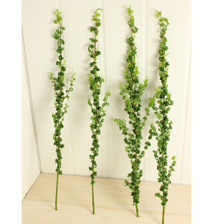 生花】メガネヤナギ 70cm程度北信州みゆき【FJ】 - 花材通販はなどんや